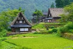 里程碑夜！尤文图斯复出首秀，足总杯赛后刷纪录，气氛紧张，控场能力受关注的简单介绍-米兰入口