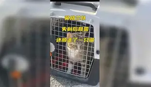 关于常规赛巅峰对决!云贵独角兽队失利东海鲨队队,板球赛场再起波澜;锋线火力回暖的信息 关于常规赛巅峰对决!云贵独角兽队失利东海鲨队队,板球赛场再起波澜;锋线火力回暖的信息